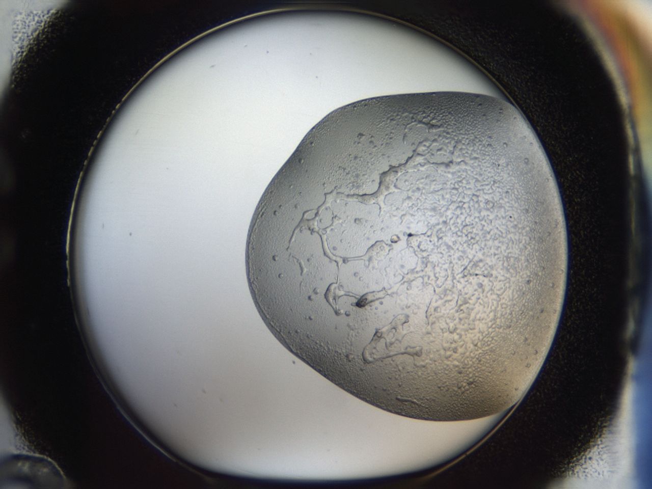 043m_C12_ImagerDefaults_6.jpg