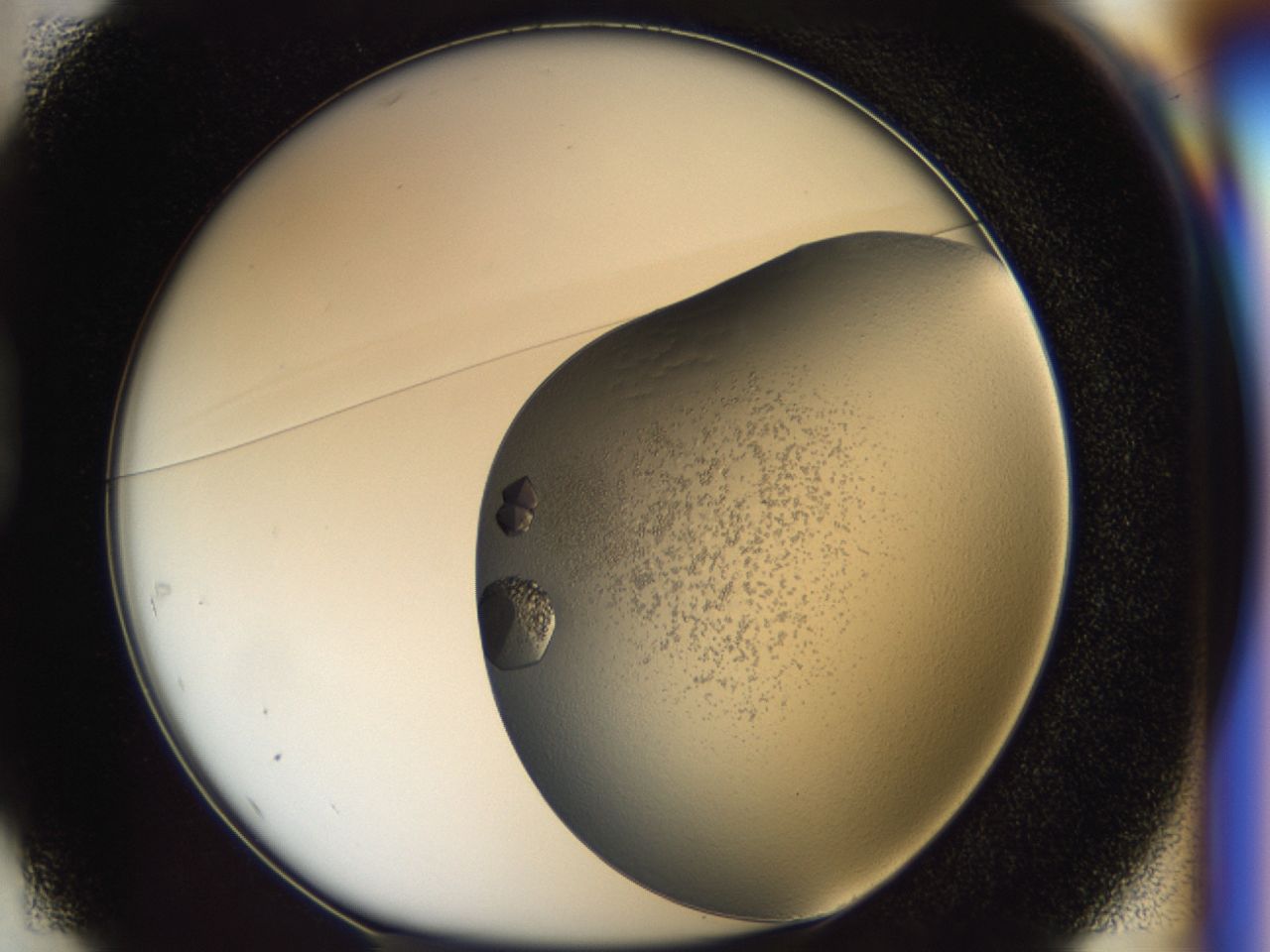 043m_D1_ImagerDefaults_9.jpg