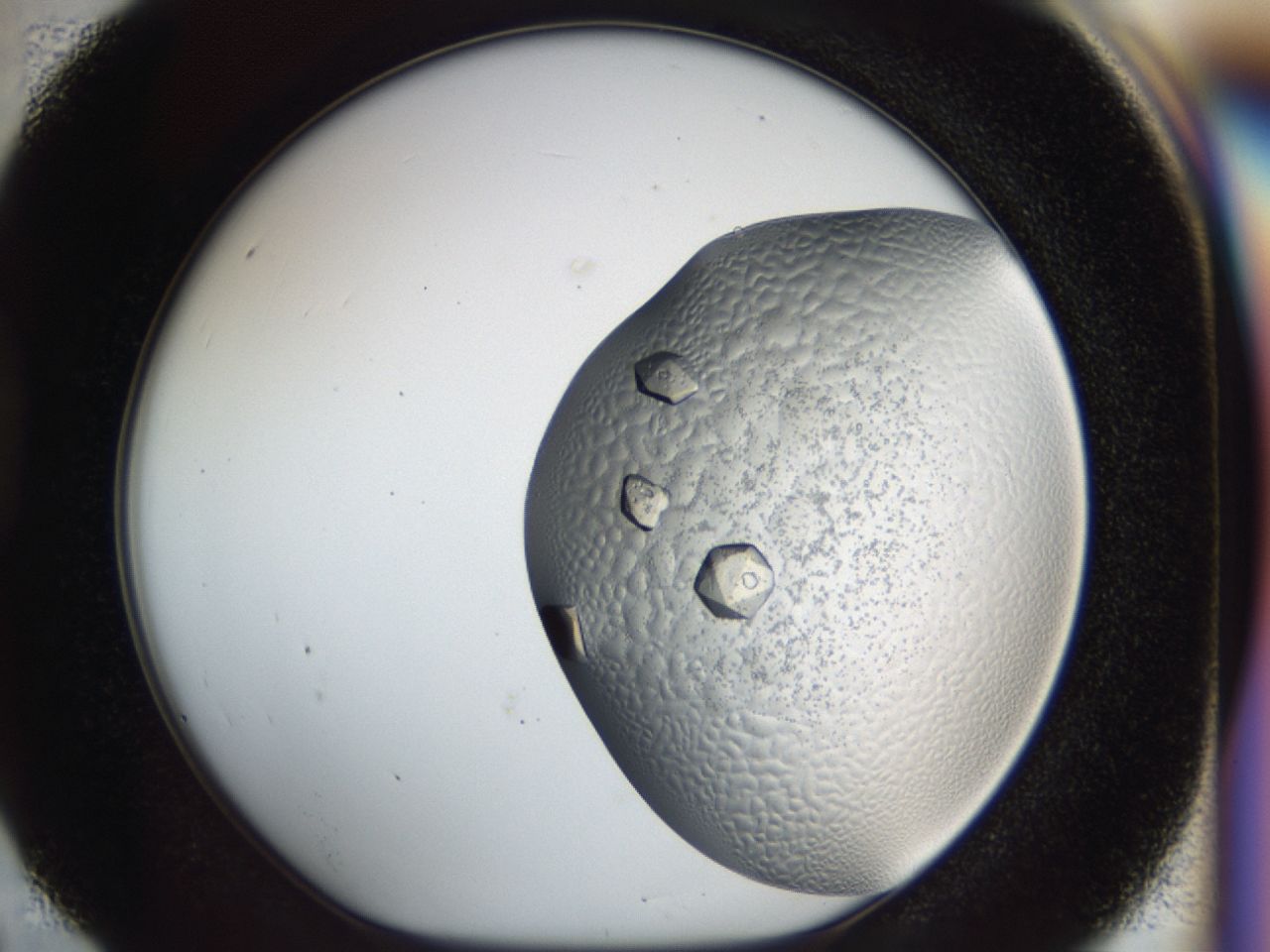043m_D4_ImagerDefaults_9.jpg