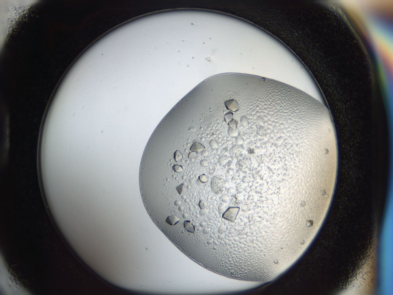 043m_D6_ImagerDefaults_8.jpg