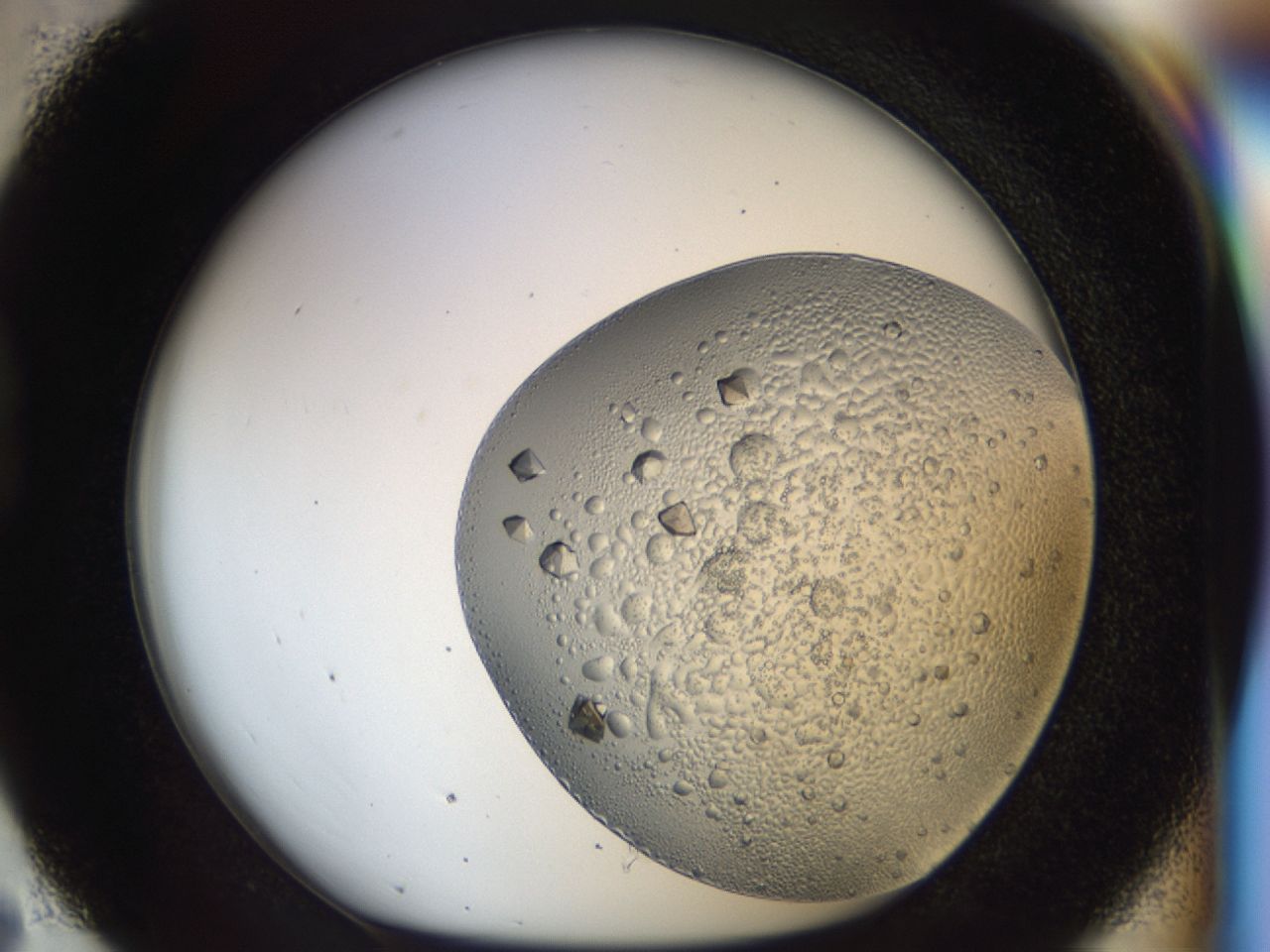 043m_D7_ImagerDefaults_8.jpg