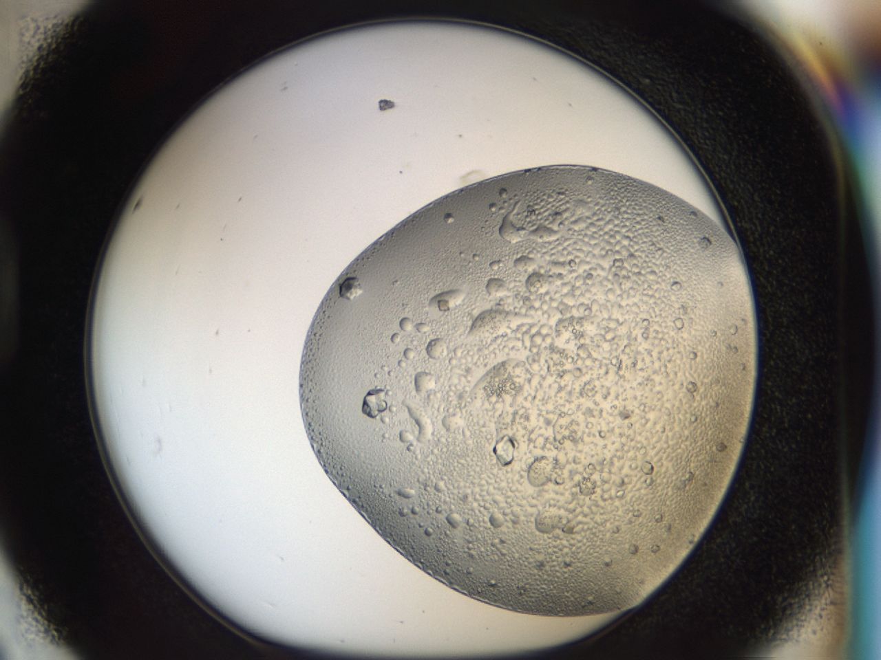 043m_D8_ImagerDefaults_7.jpg