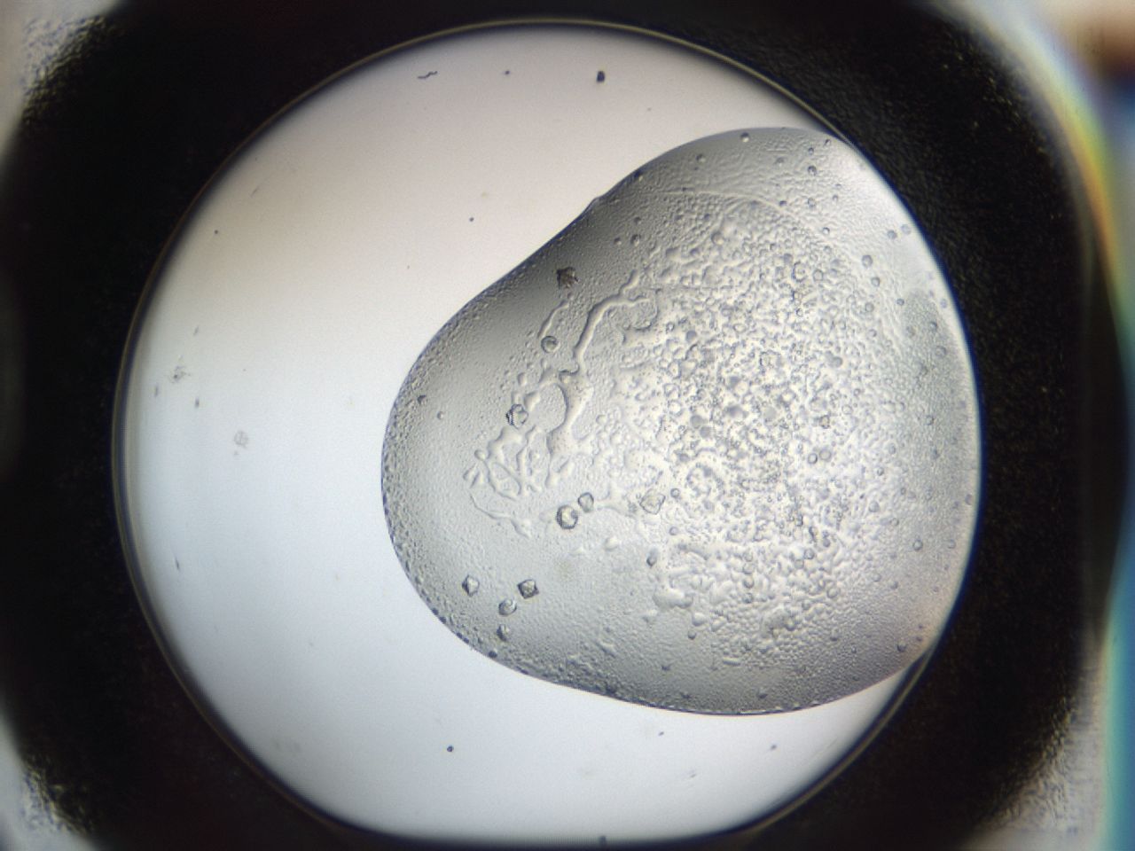 043m_D9_ImagerDefaults_6.jpg