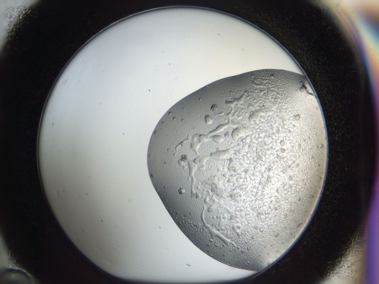 043m_D10_ImagerDefaults_6.jpg