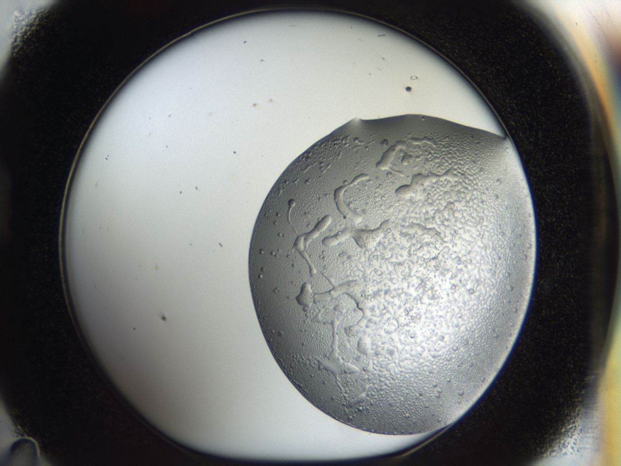 043m_D11_ImagerDefaults_6.jpg