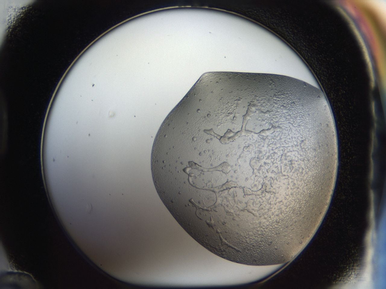 043m_D12_ImagerDefaults_6.jpg