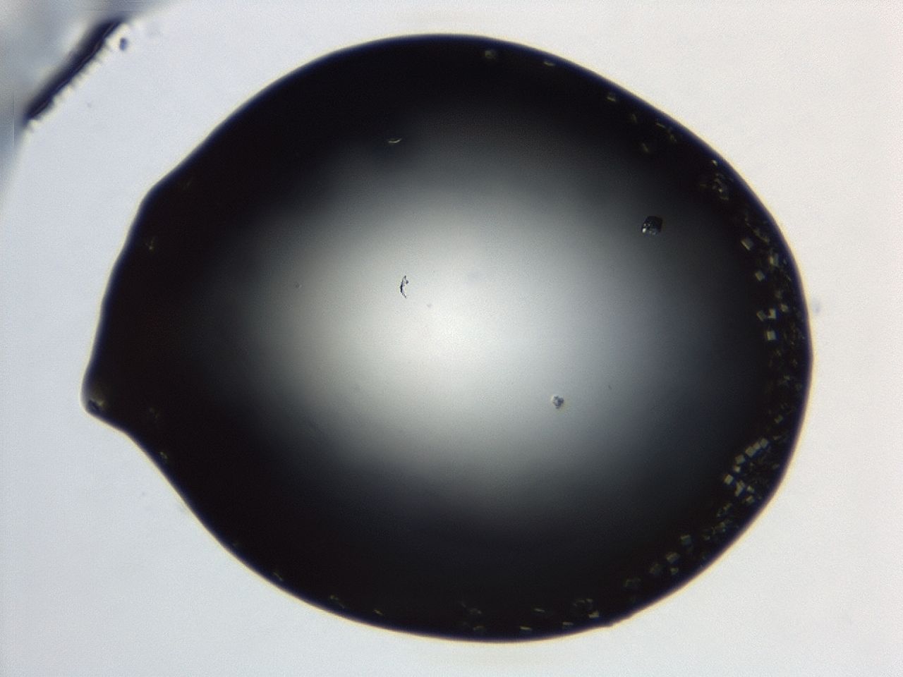 043s_B7_ImagerDefaults_8.jpg