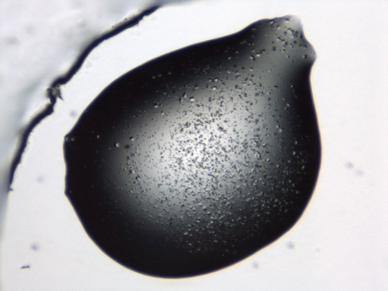 043s_B8_ImagerDefaults_8.jpg