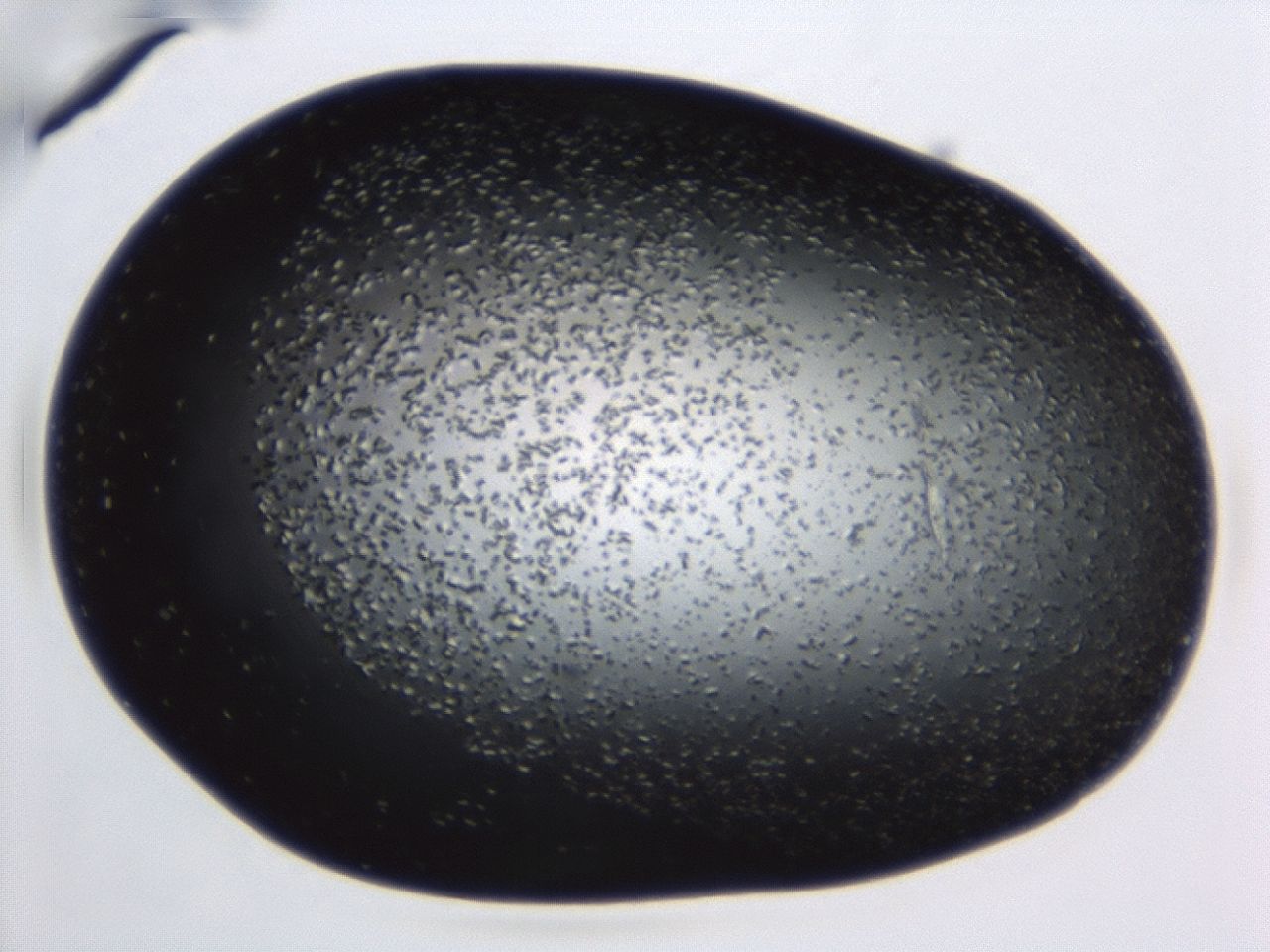 043s_B9_ImagerDefaults_8.jpg