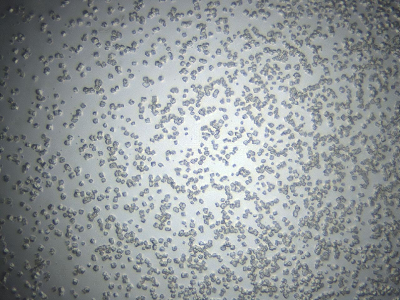 043s_B11_ImagerDefaults_8.jpg