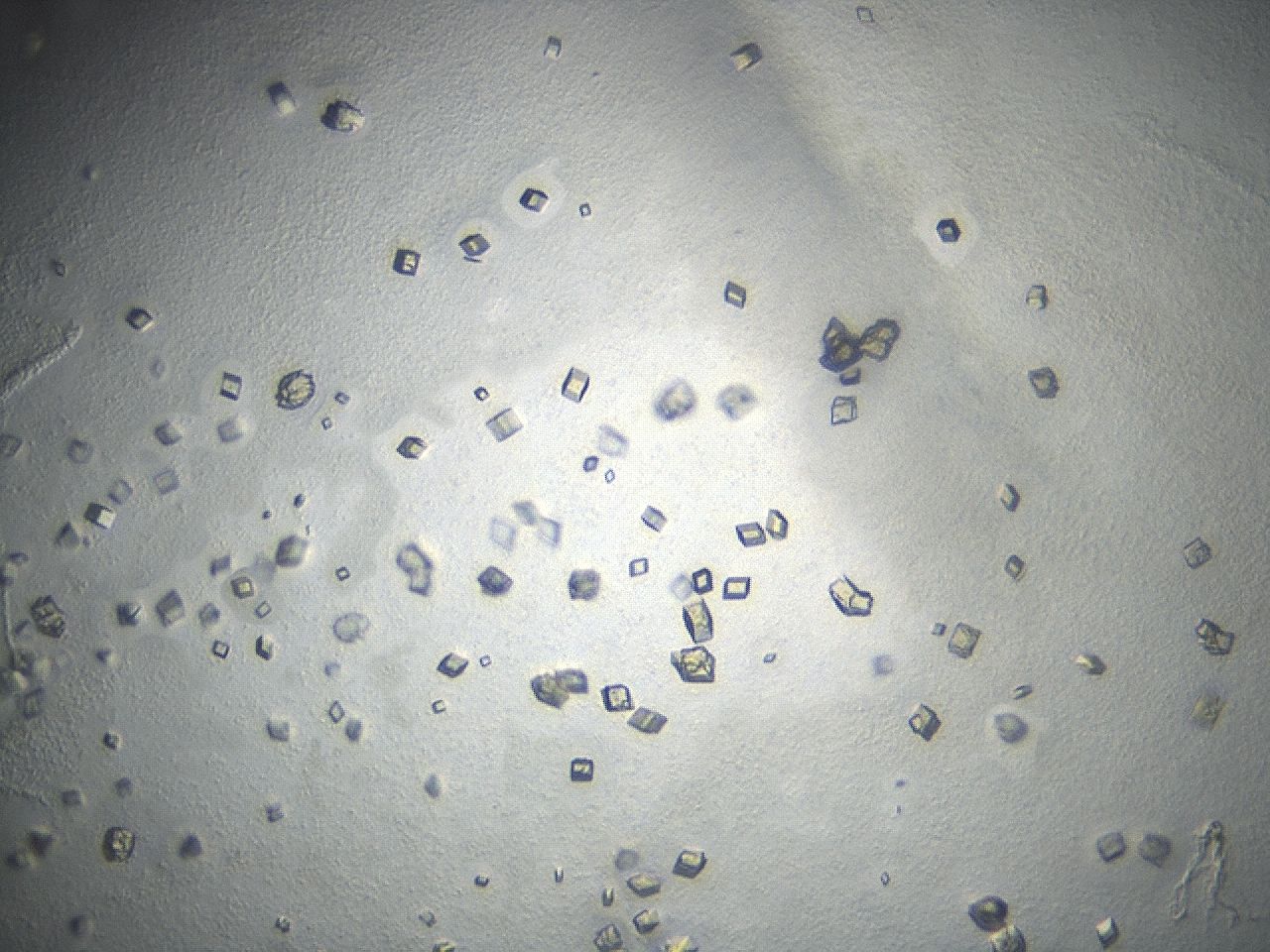043s_B12_ImagerDefaults_8.jpg