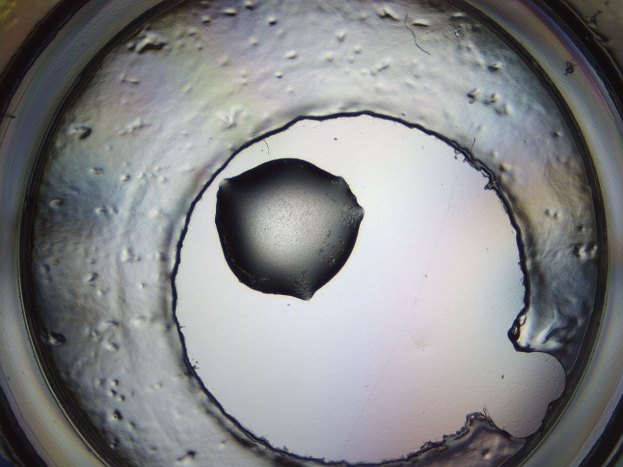 043s_C4_ImagerDefaults_8.jpg