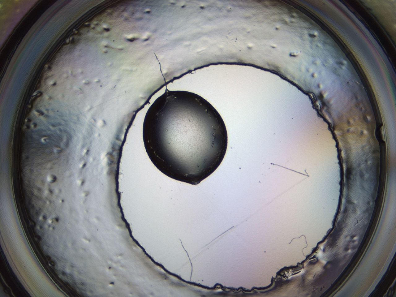 043s_C5_ImagerDefaults_8.jpg