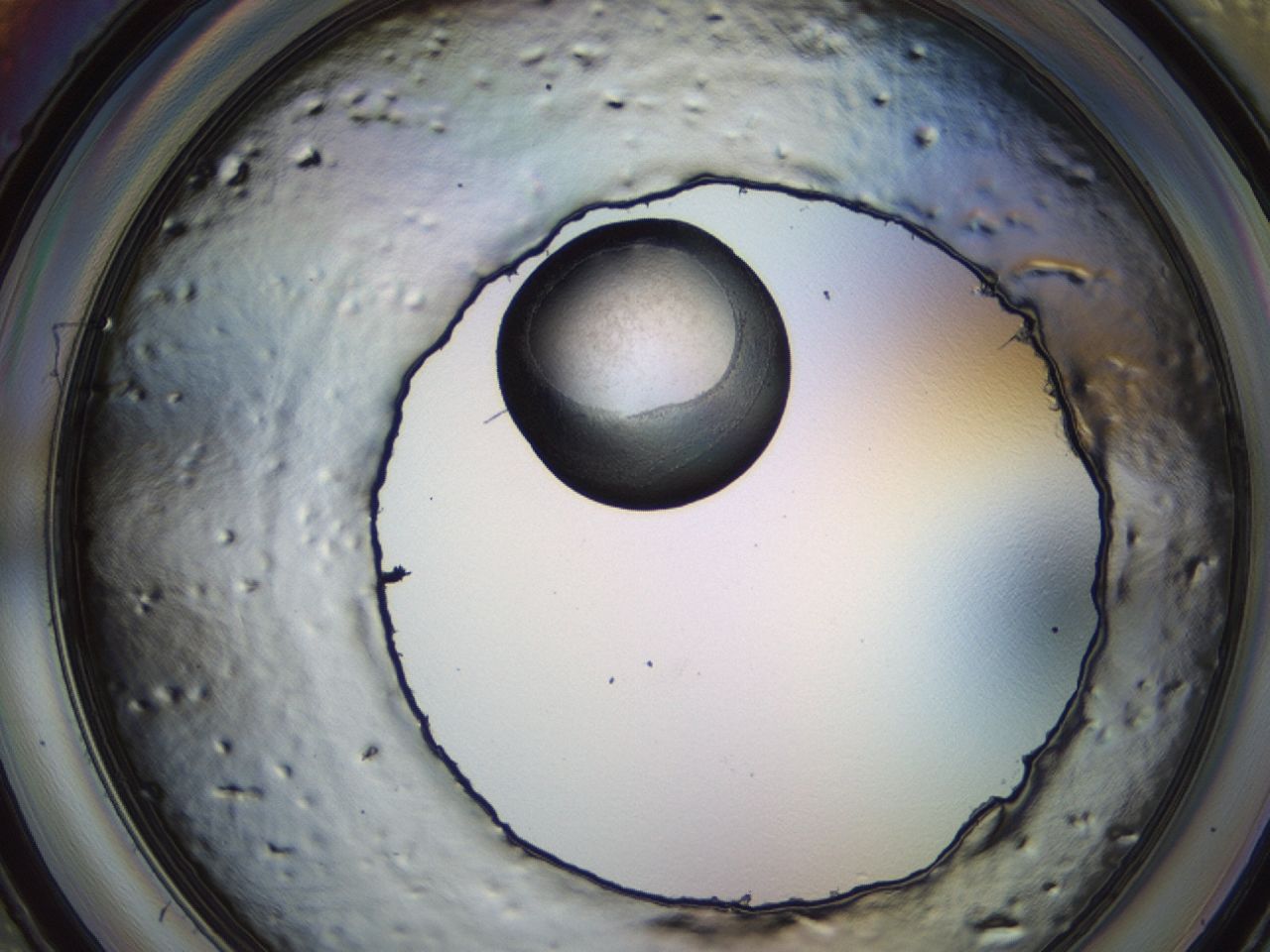 043s_C10_ImagerDefaults_7.jpg