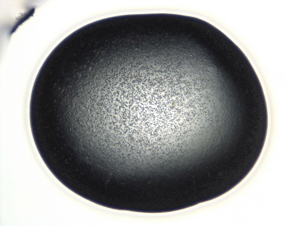 043s_D8_ImagerDefaults_8.jpg