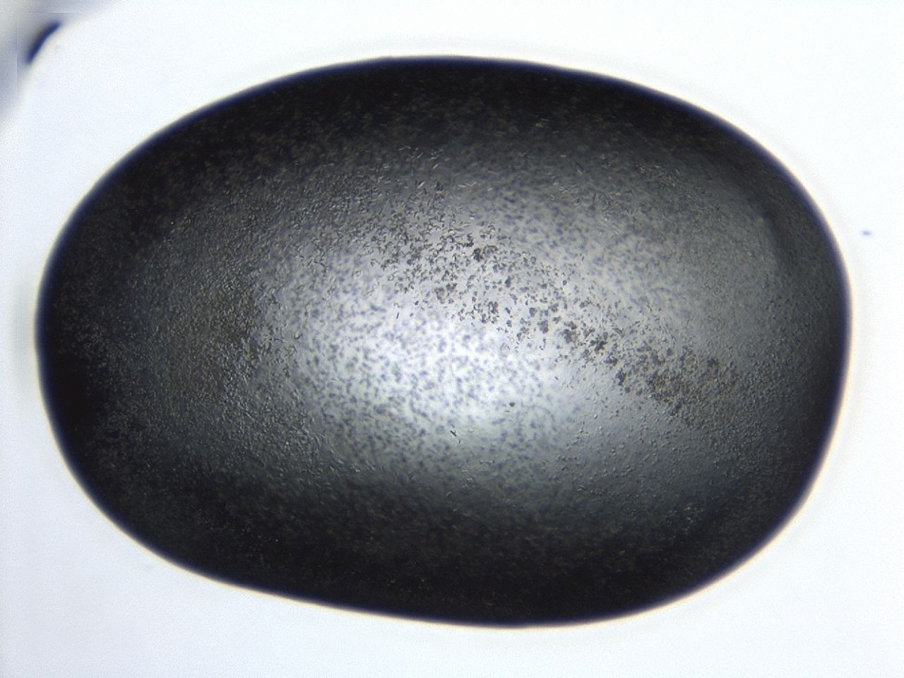 043s_D10_ImagerDefaults_7.jpg