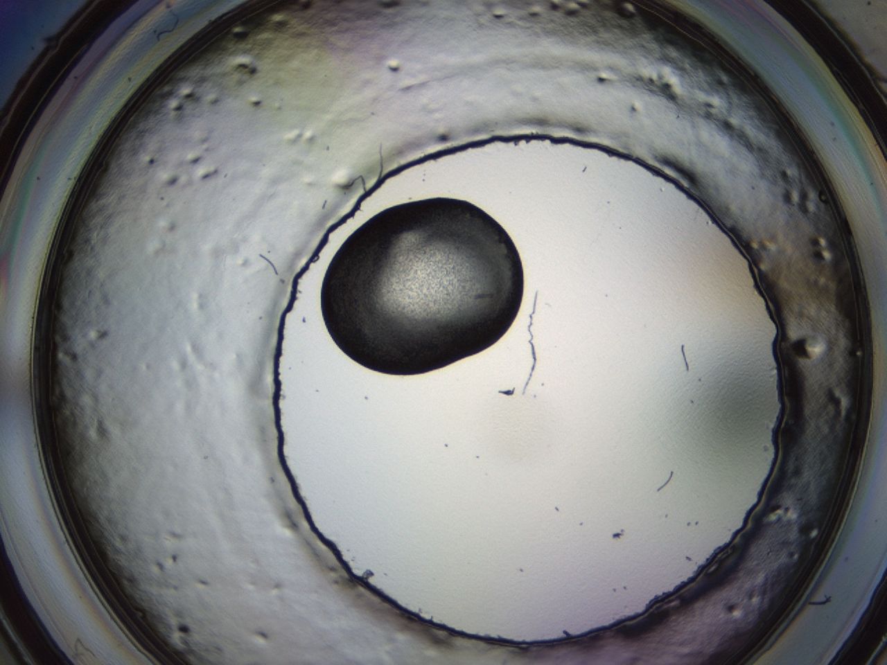 043s_D11_ImagerDefaults_7.jpg