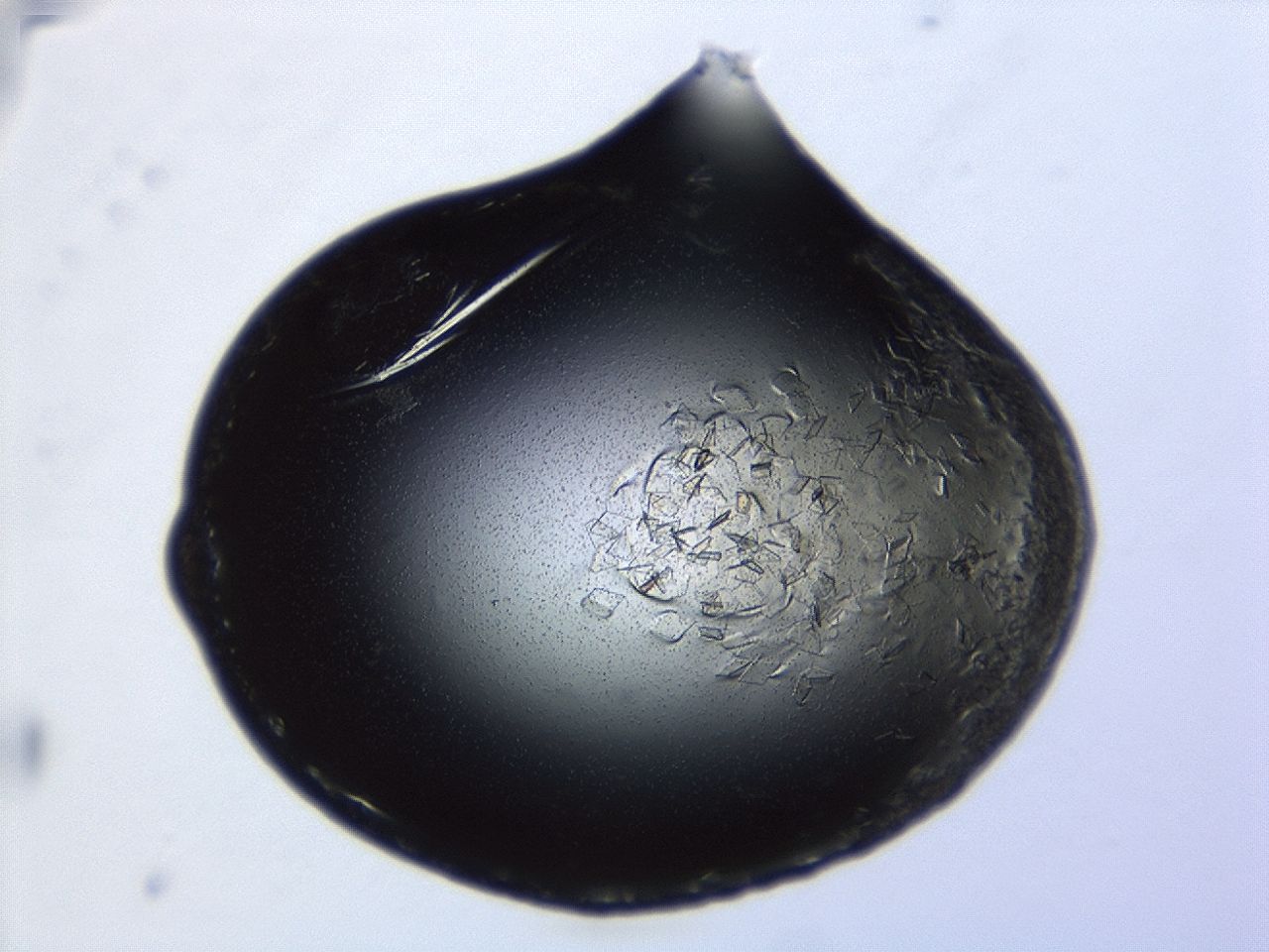 043s_E2_ImagerDefaults_8.jpg