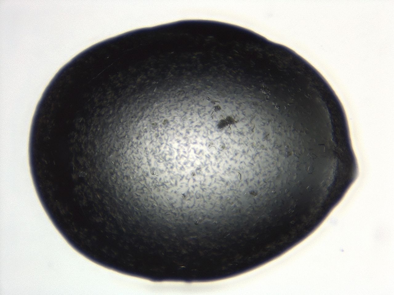 043s_E3_ImagerDefaults_7.jpg
