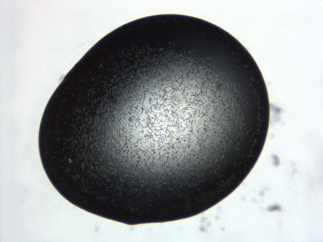 043s_E5_ImagerDefaults_8.jpg