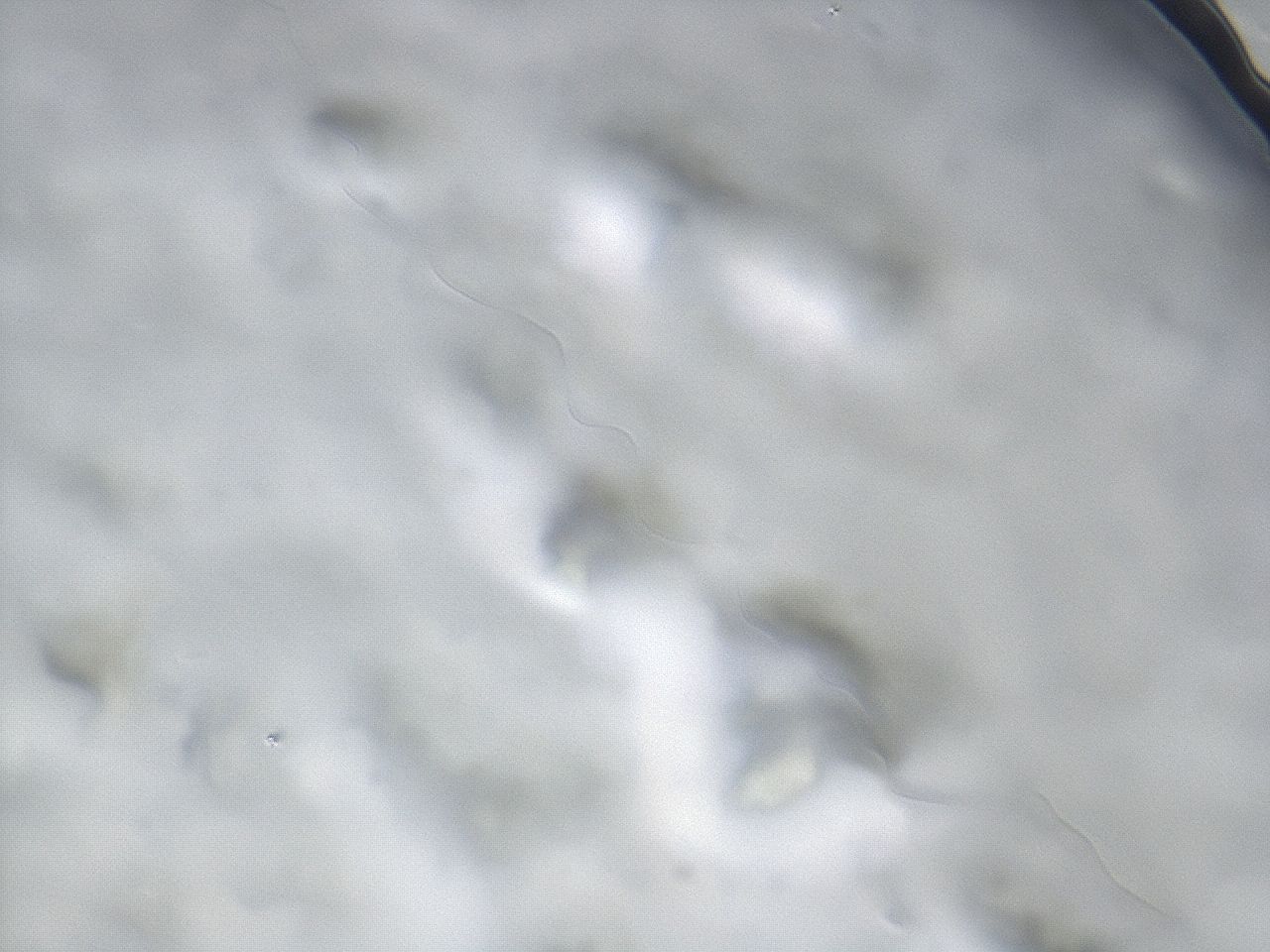 043s_E10_ImagerDefaults_7.jpg