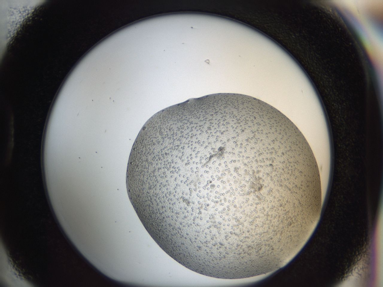 043w_D6_ImagerDefaults_6.jpg