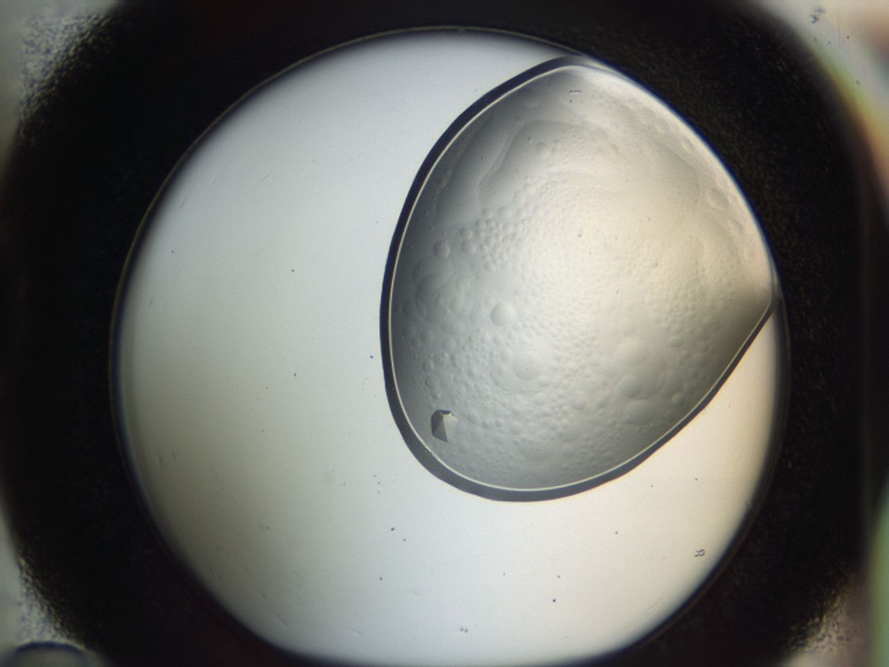 043y_D10_ImagerDefaults_9.jpg