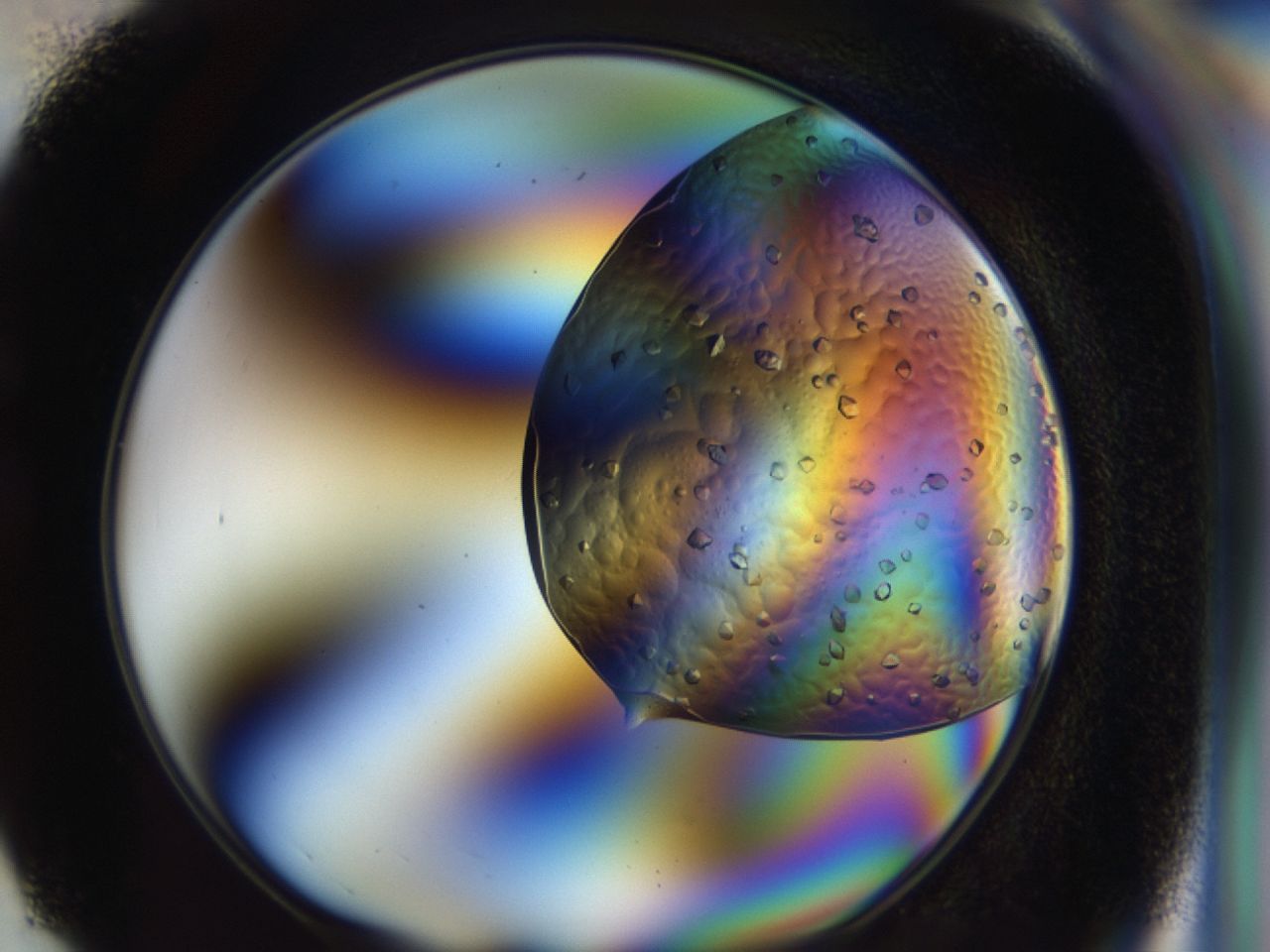 043y_G1_ImagerDefaults_9.jpg
