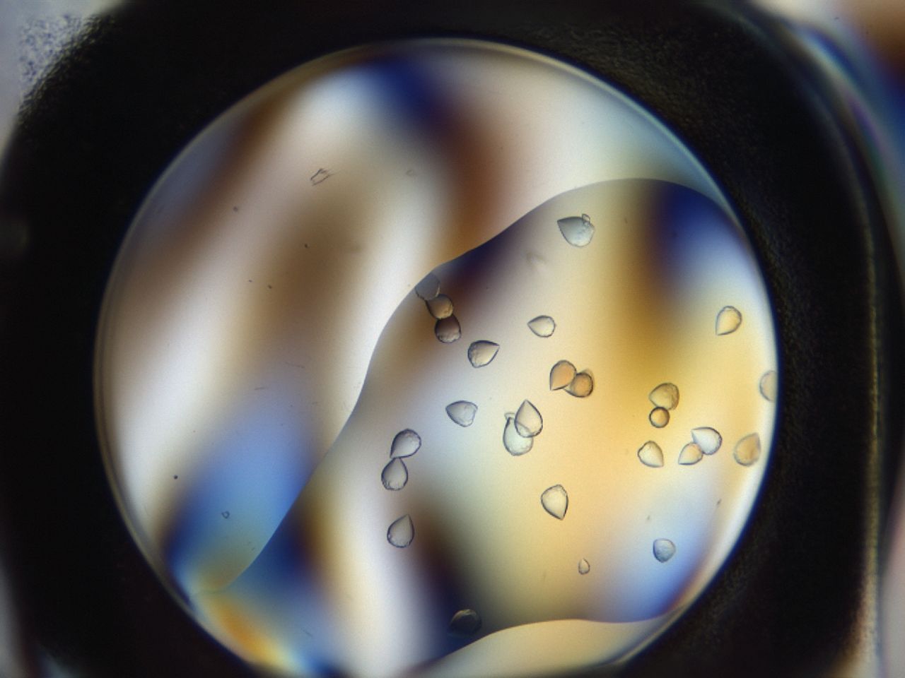 0442_F3_ImagerDefaults_9.jpg