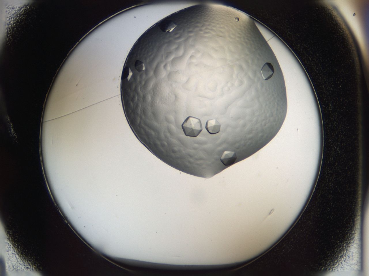 0443_A4_ImagerDefaults_9.jpg
