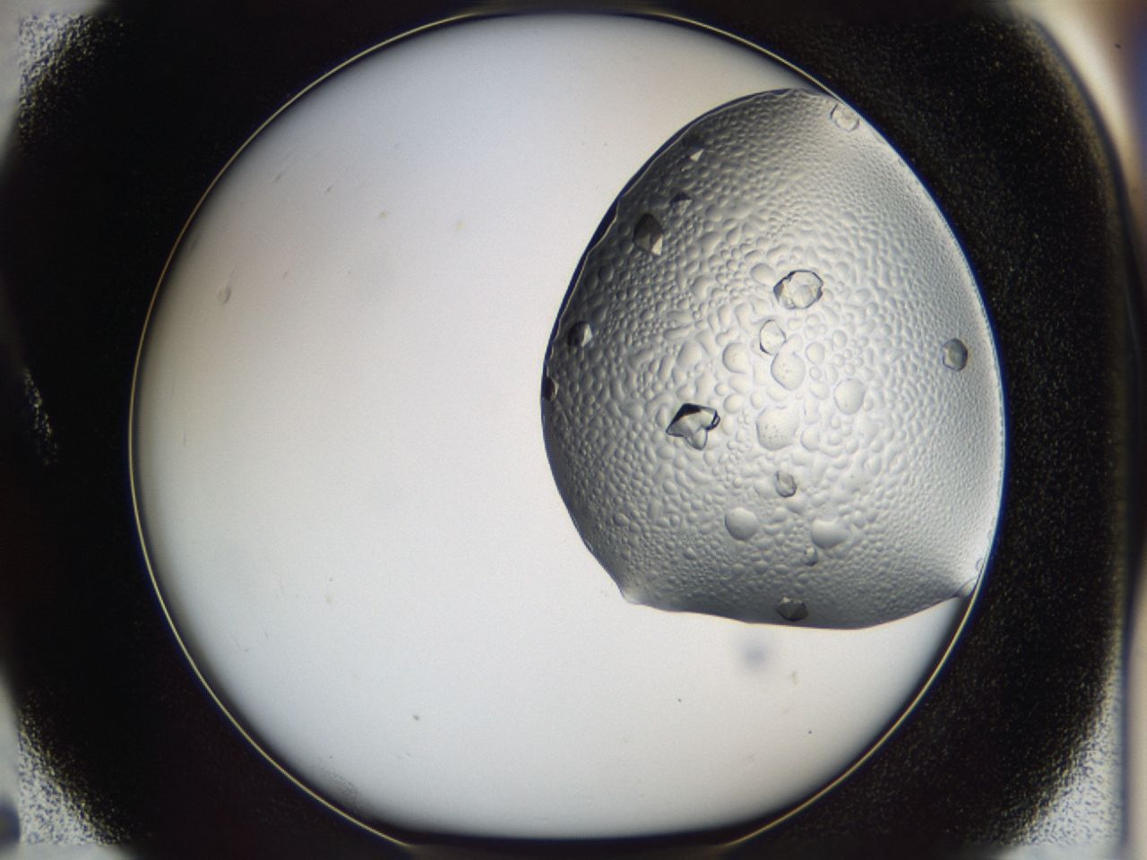 0443_A5_ImagerDefaults_8.jpg
