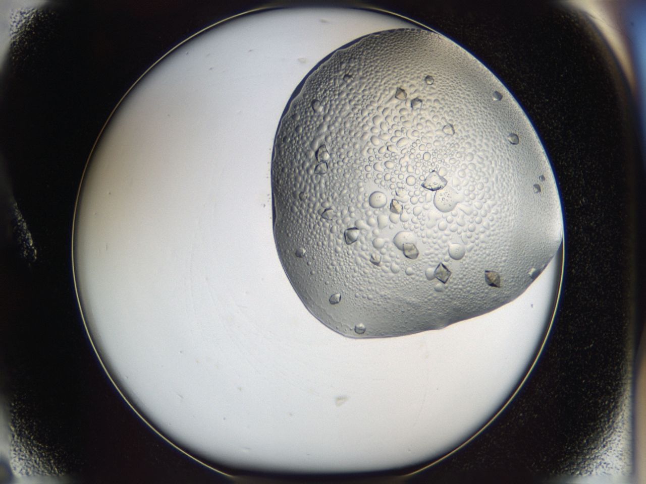 0443_A6_ImagerDefaults_7.jpg