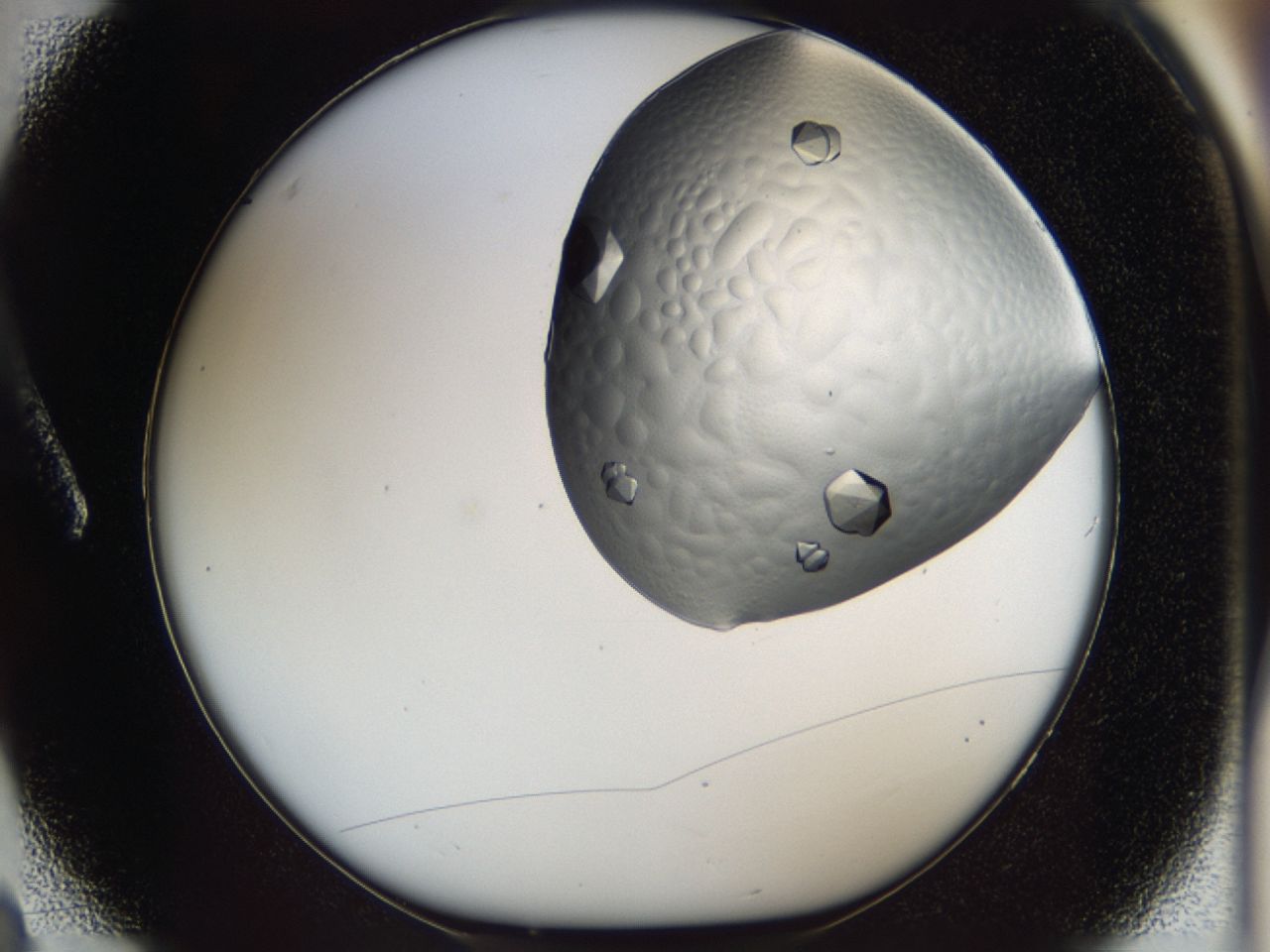 0443_A3_ImagerDefaults_9.jpg