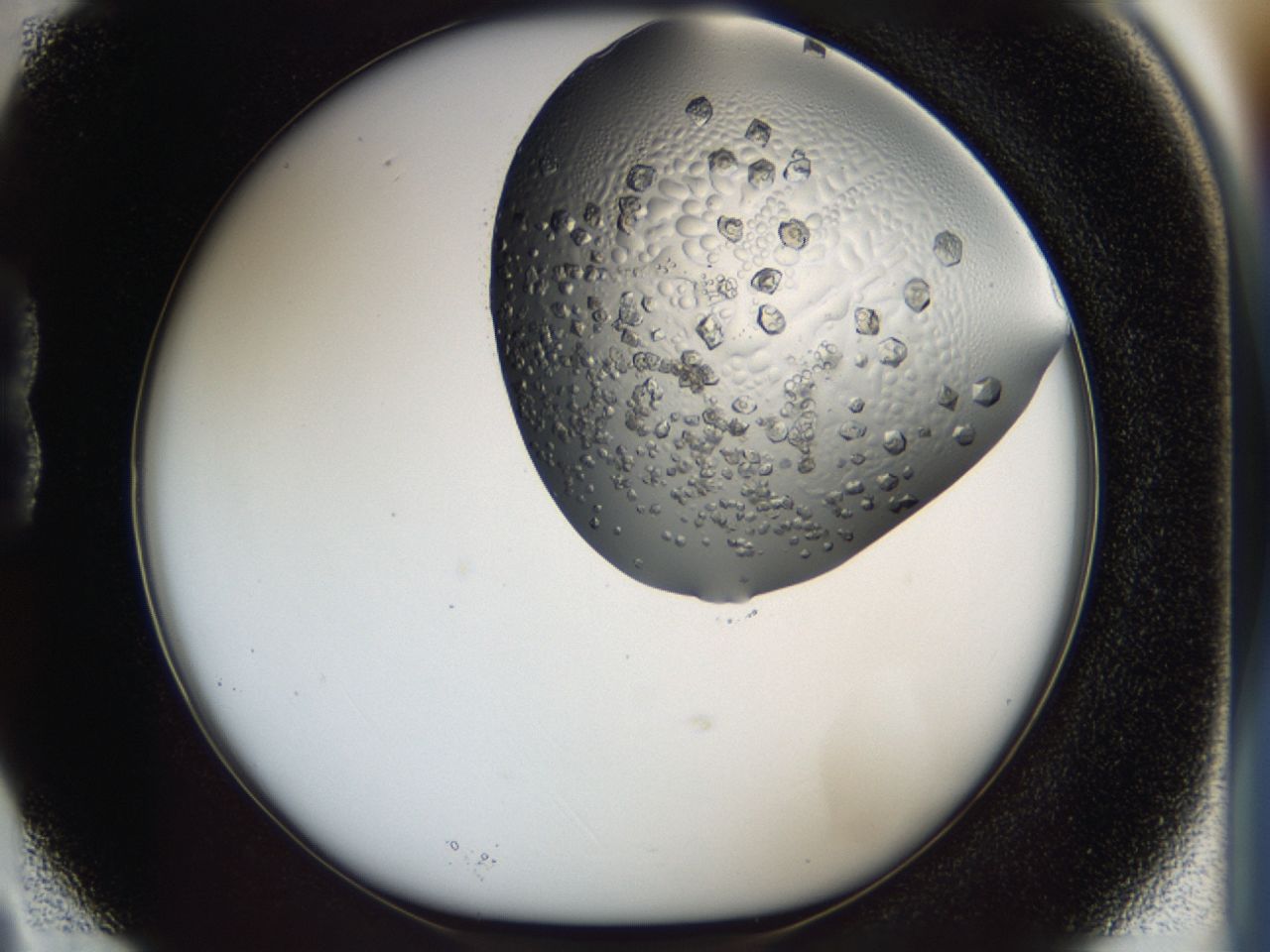 0443_B3_ImagerDefaults_7.jpg