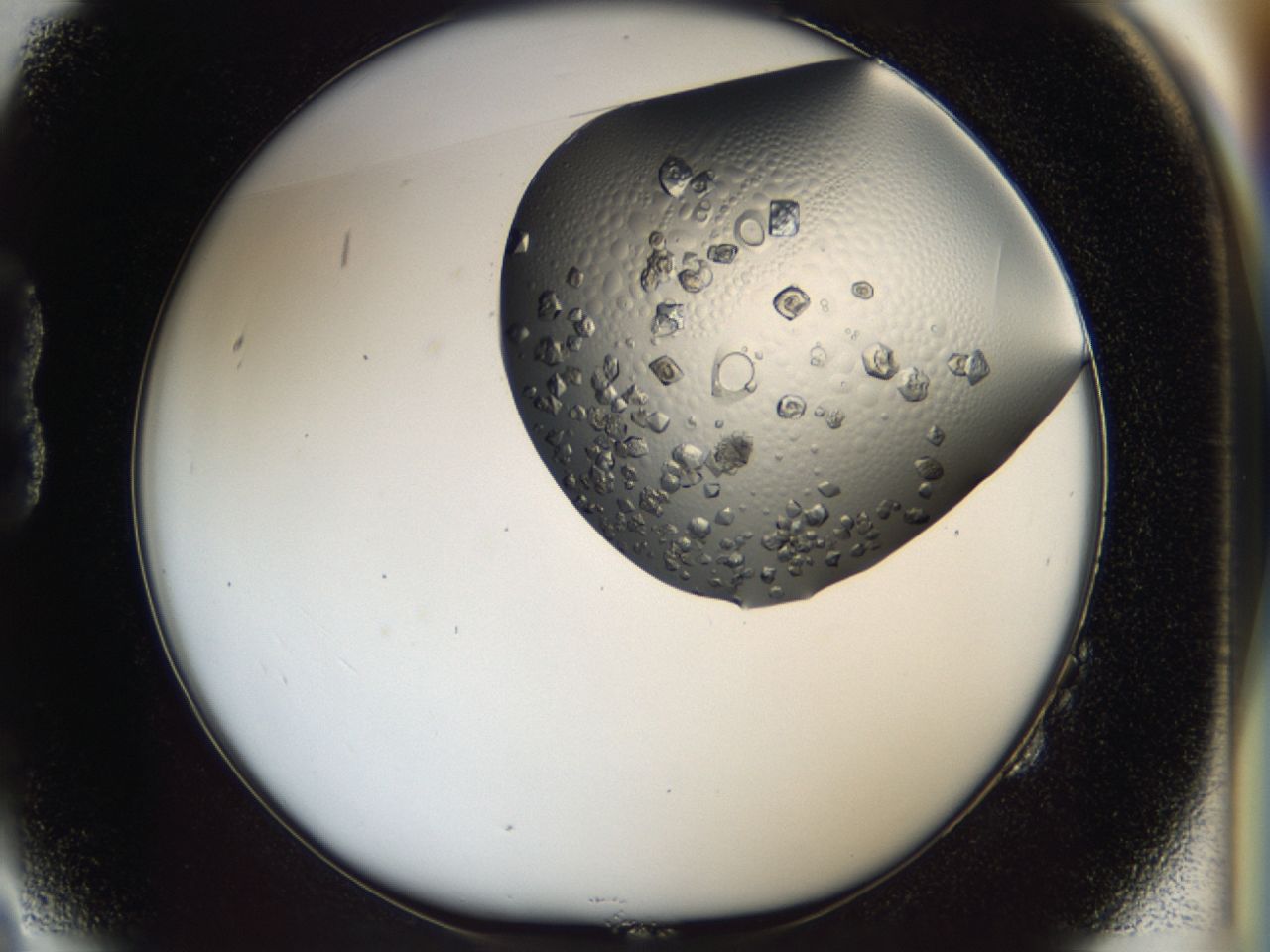 0443_B2_ImagerDefaults_8.jpg
