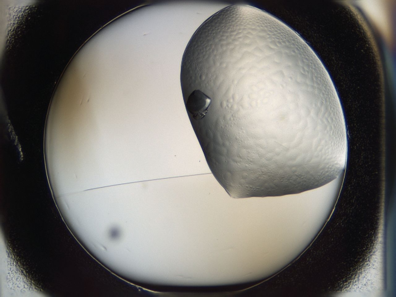 0443_A1_ImagerDefaults_9.jpg