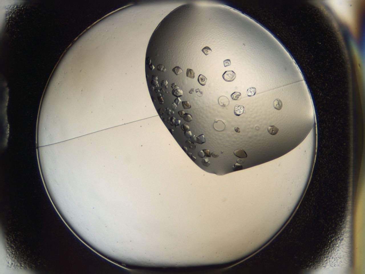 0443_B1_ImagerDefaults_8.jpg