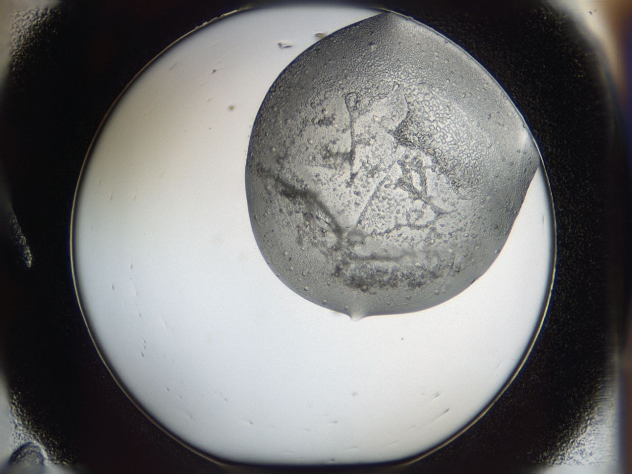 0443_A11_ImagerDefaults_6.jpg
