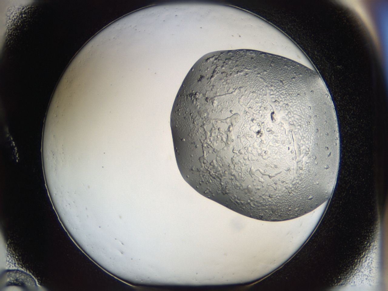 0443_A10_ImagerDefaults_6.jpg