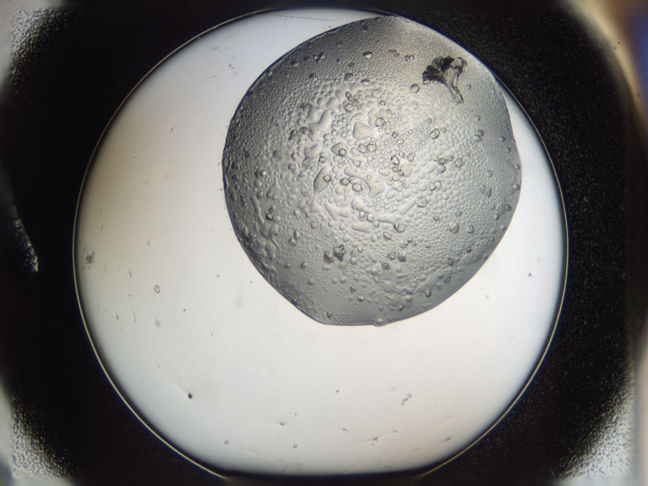 0443_A8_ImagerDefaults_6.jpg