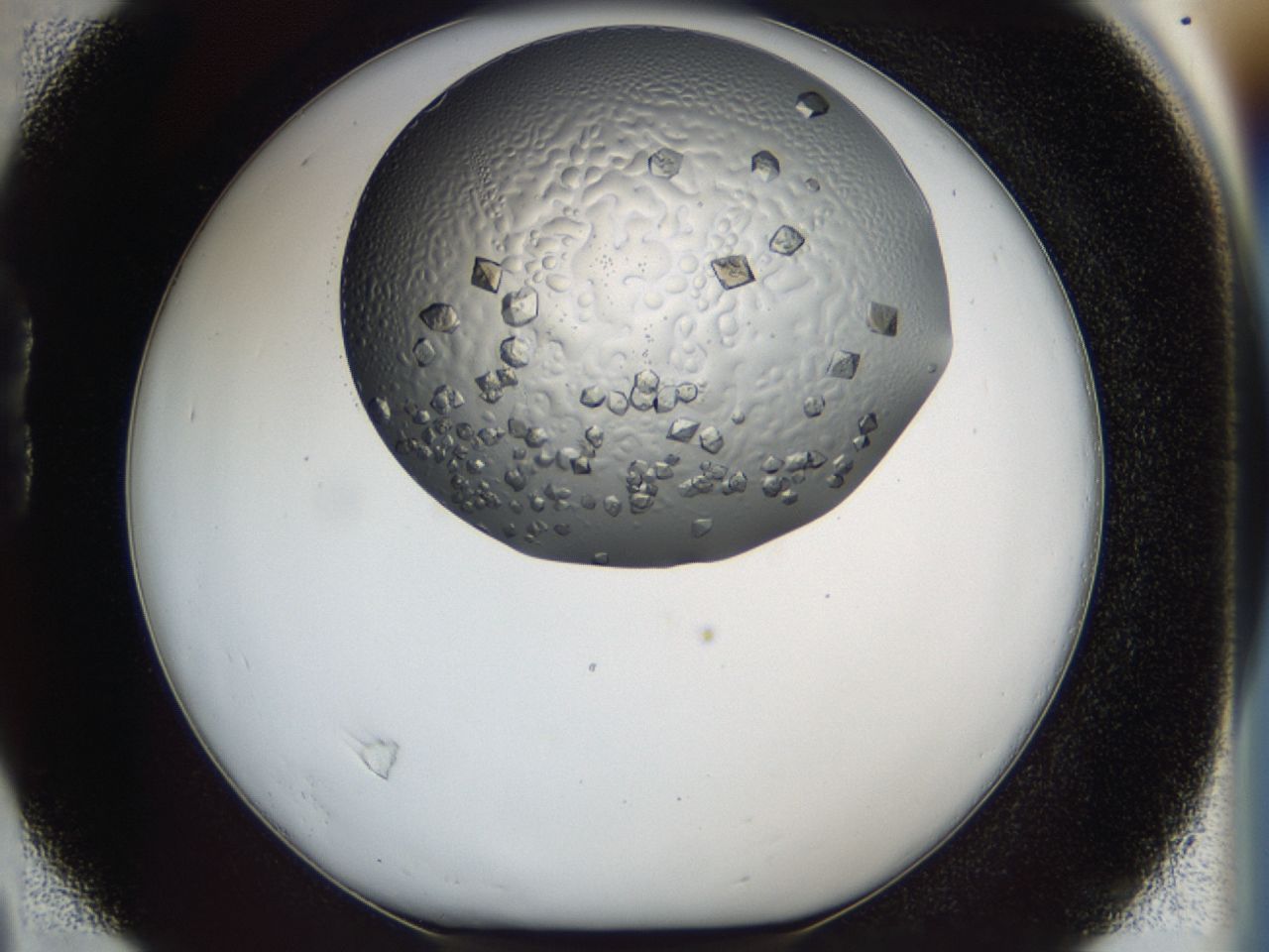 0443_B4_ImagerDefaults_8.jpg