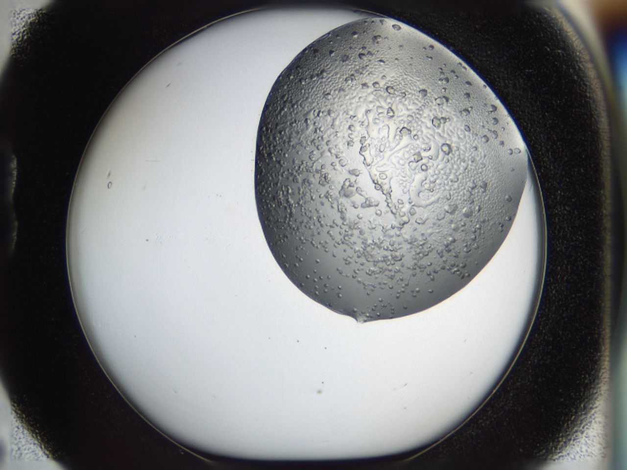 0443_B5_ImagerDefaults_6.jpg