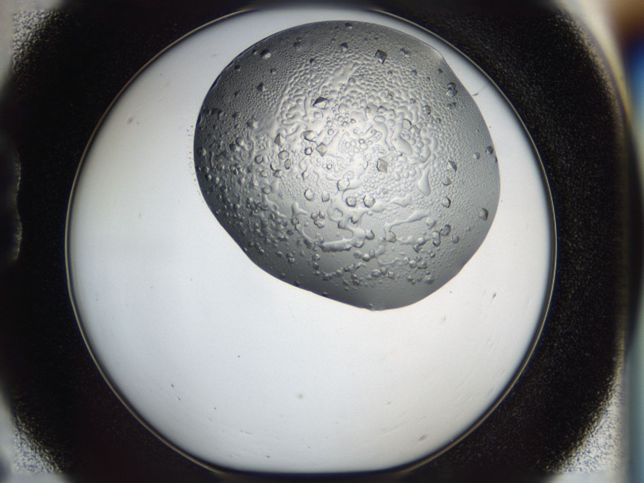 0443_B6_ImagerDefaults_7.jpg
