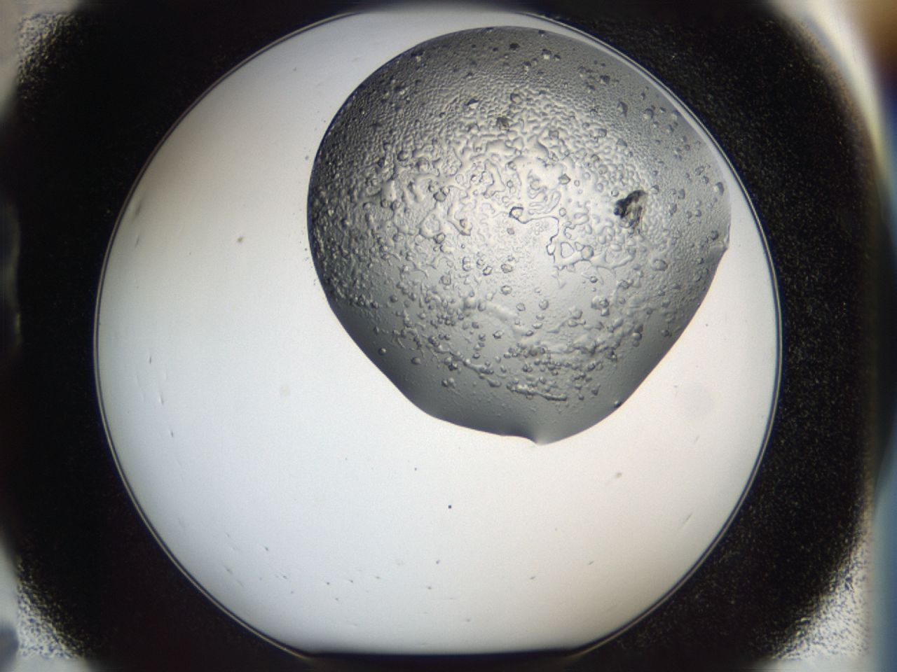0443_B7_ImagerDefaults_6.jpg