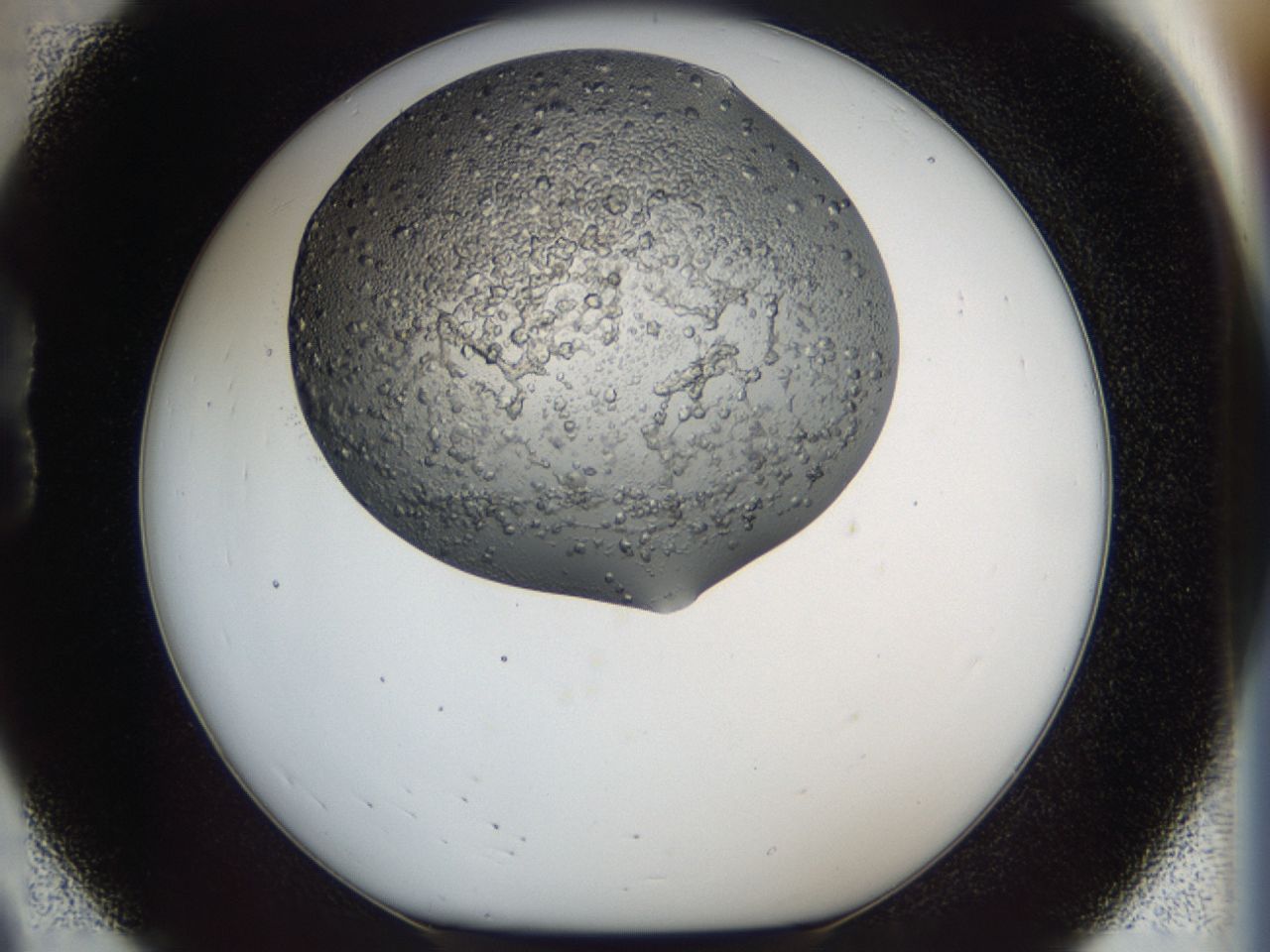 0443_B8_ImagerDefaults_6.jpg