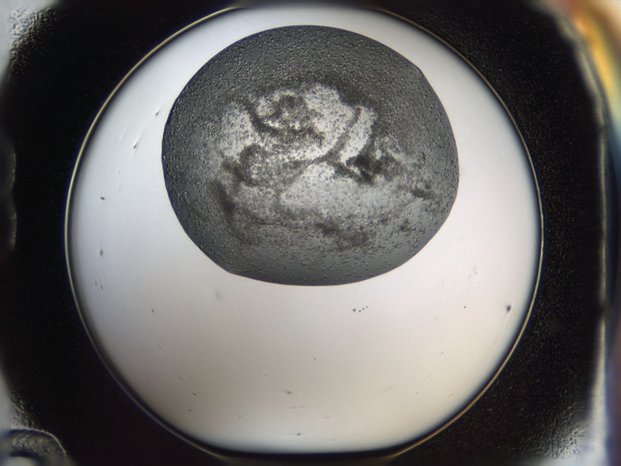 0443_B12_ImagerDefaults_6.jpg