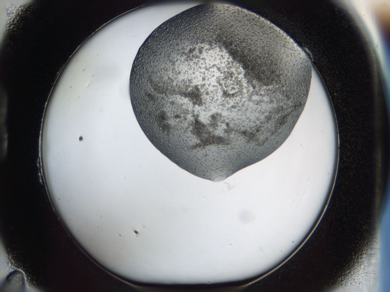 0443_B11_ImagerDefaults_6.jpg