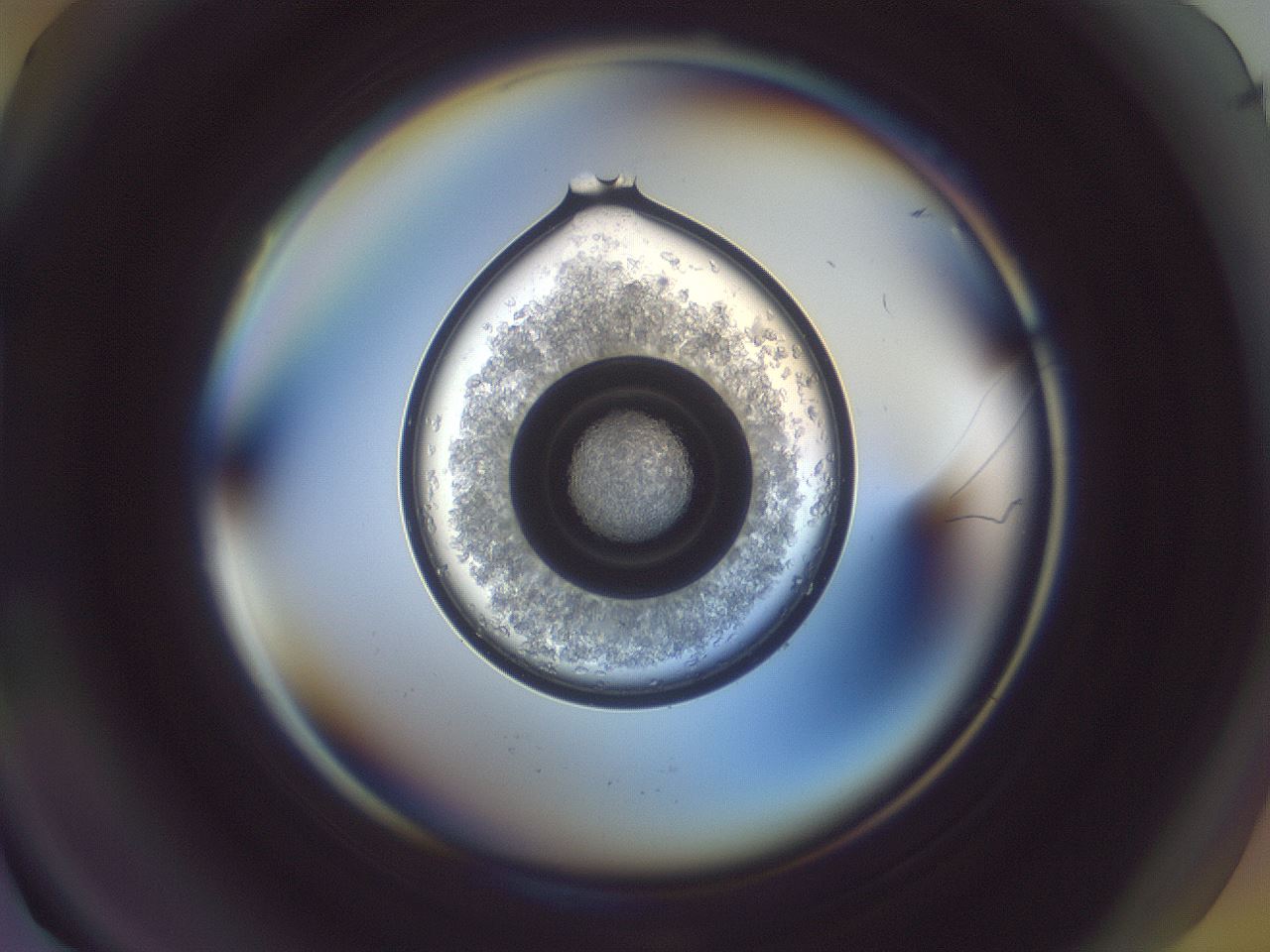 folderID871_plateID1871_batchID7959_wellNum12_profileID1_d1_r126674_ef.jpg