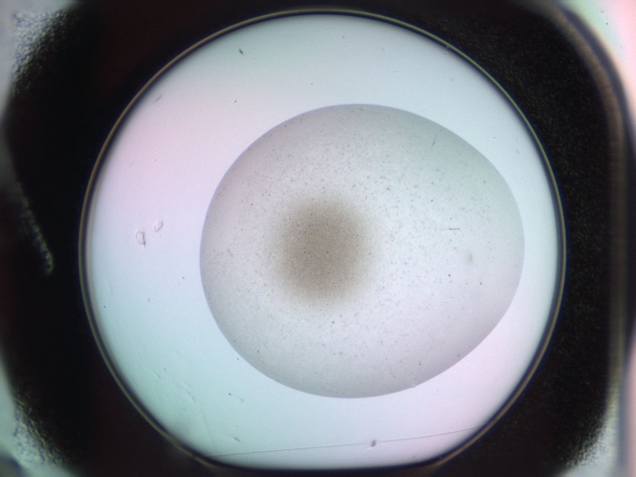 044y_A2_ImagerDefaults_9.jpg