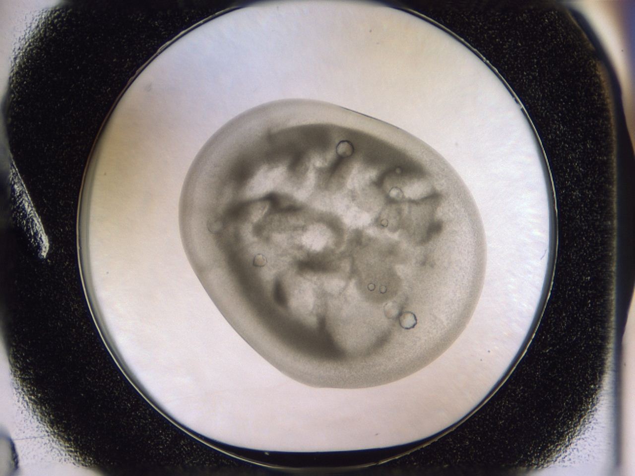 0454_A3_ImagerDefaults_9.jpg